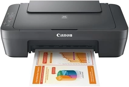 Принтер Canon PIXMA MG2546S МФУ