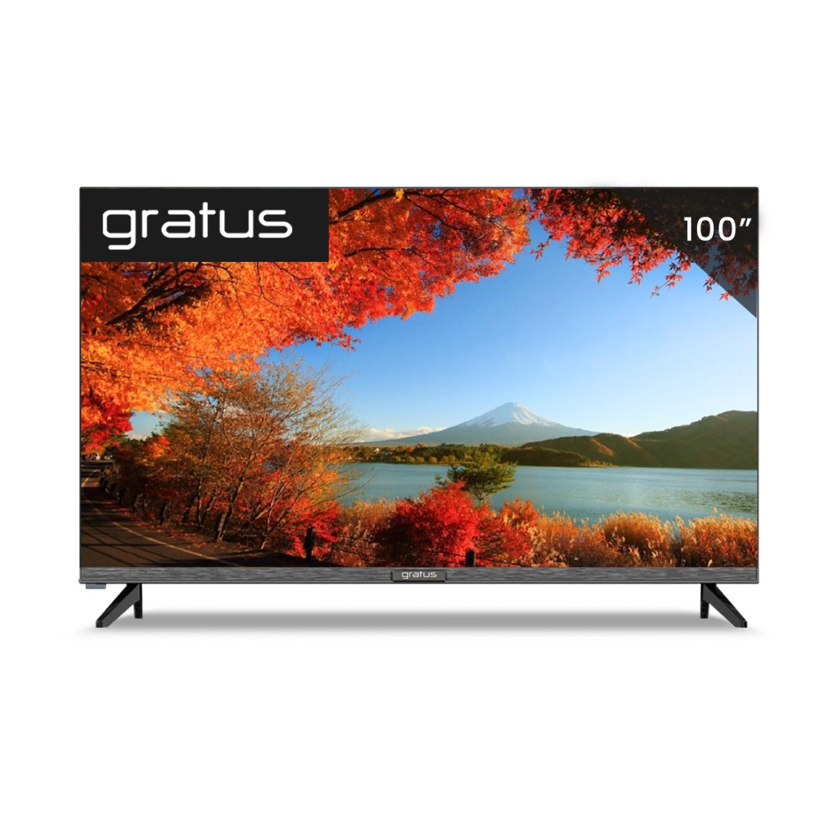 Gratus 100 inch 4K QLED Google Smart TV ThinQ AI ZBT Panel (LT100QG634E)